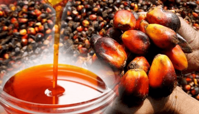 Palm Oil for Cooking: A Versatile and Nutrient-Rich Kitchen Essential